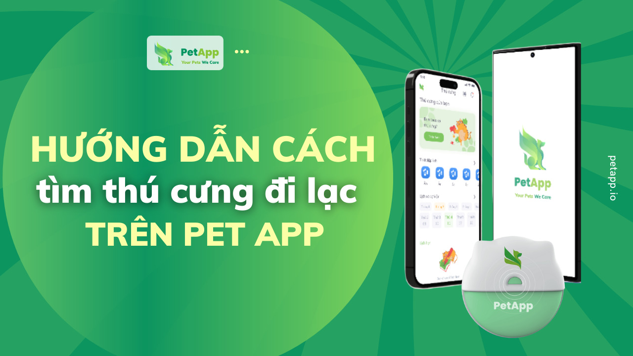 PetApp | Hướng dẫn cách tìm thú cưng đi lạc trên PetApp