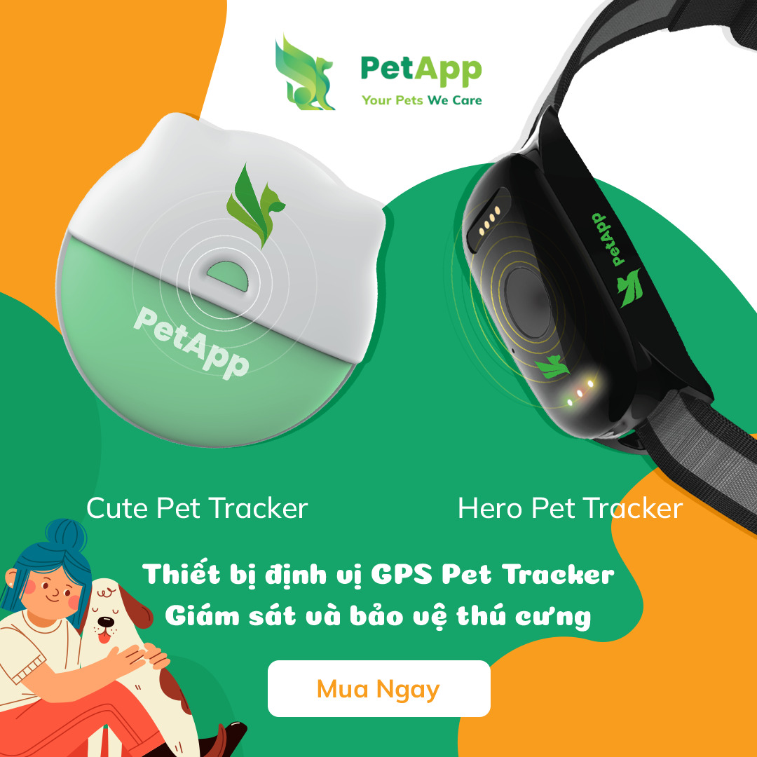 Vòng cổ thông minh - thiết bị định vị GPS kết hợp cùng PetApp